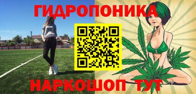 хмурый Можга