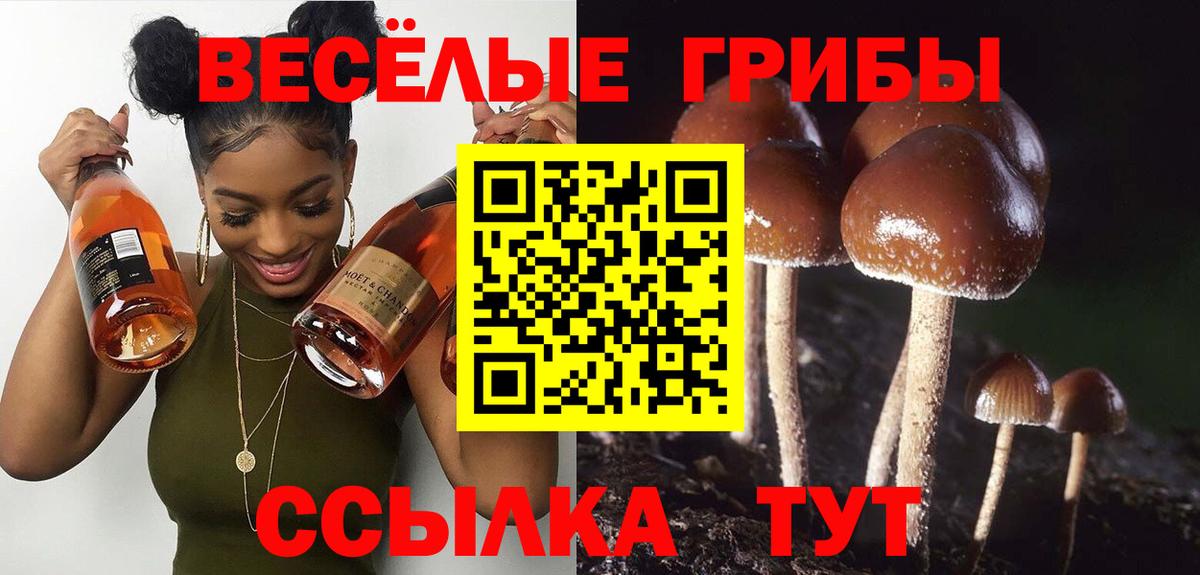 Сергиев Посад  Псилоцибиновые грибы прущие грибы  Вход с VPN 