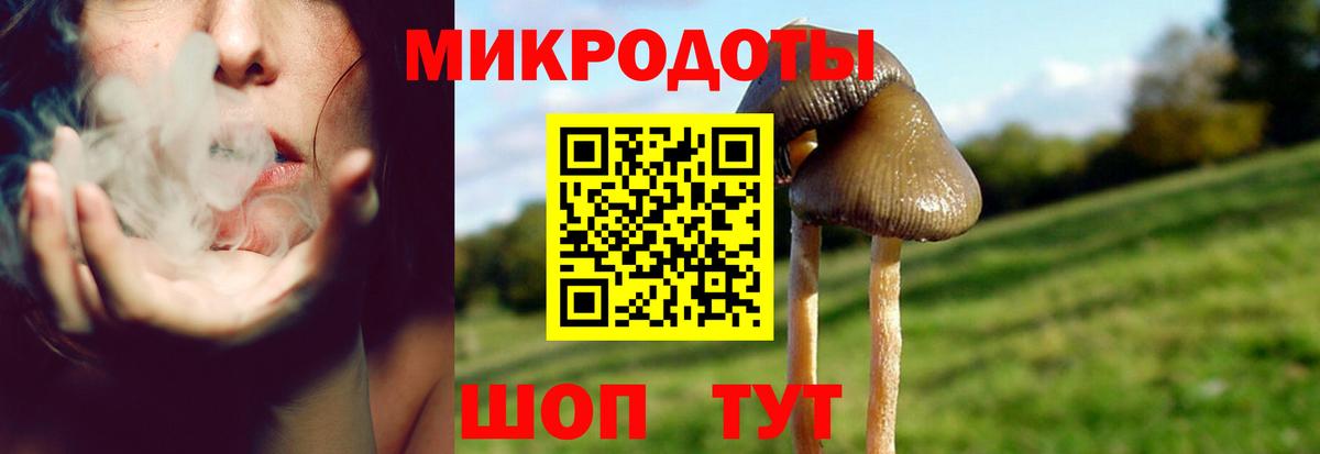 Галлюциногенные грибы MAGIC MUSHROOMS Сергиев Посад